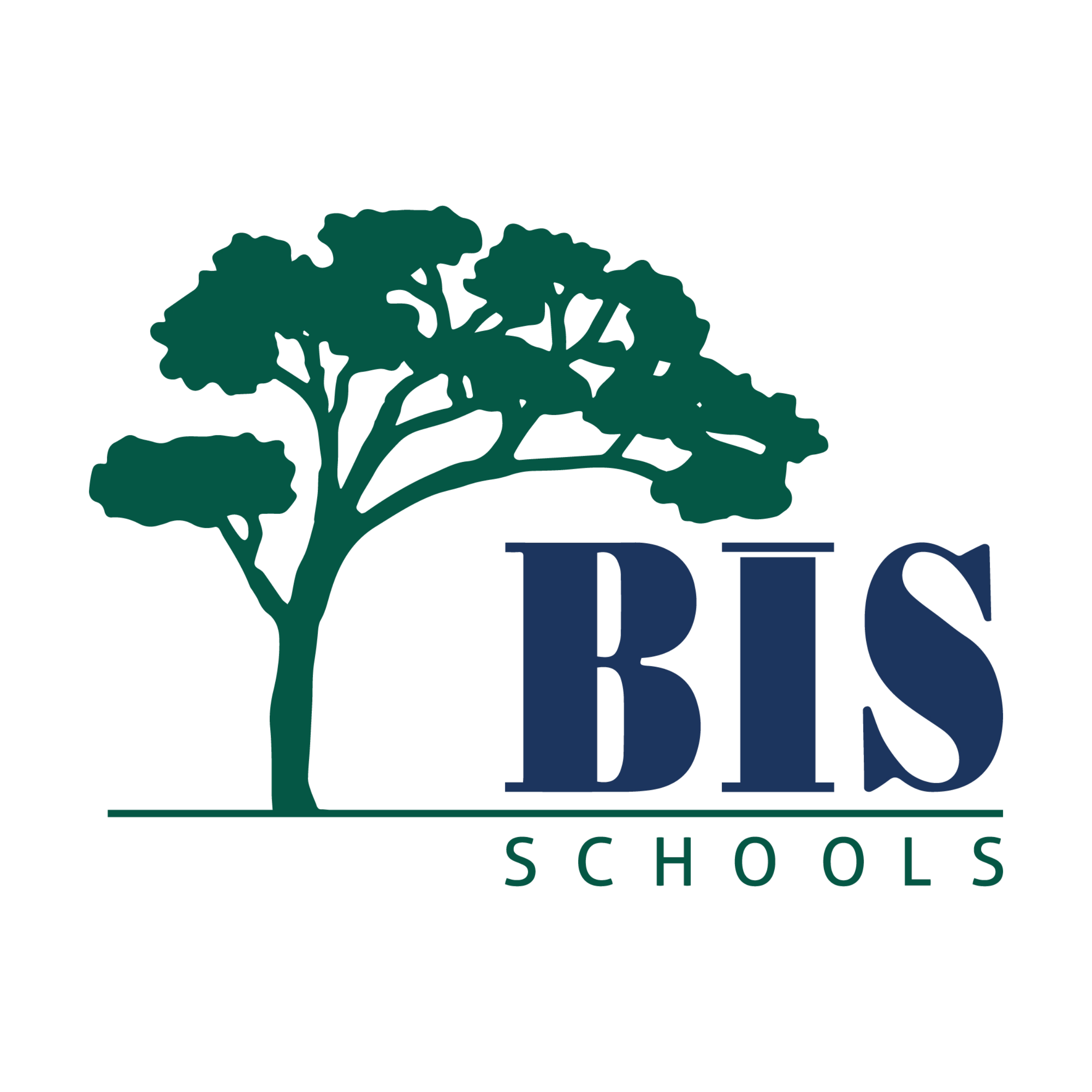 BIS Schools